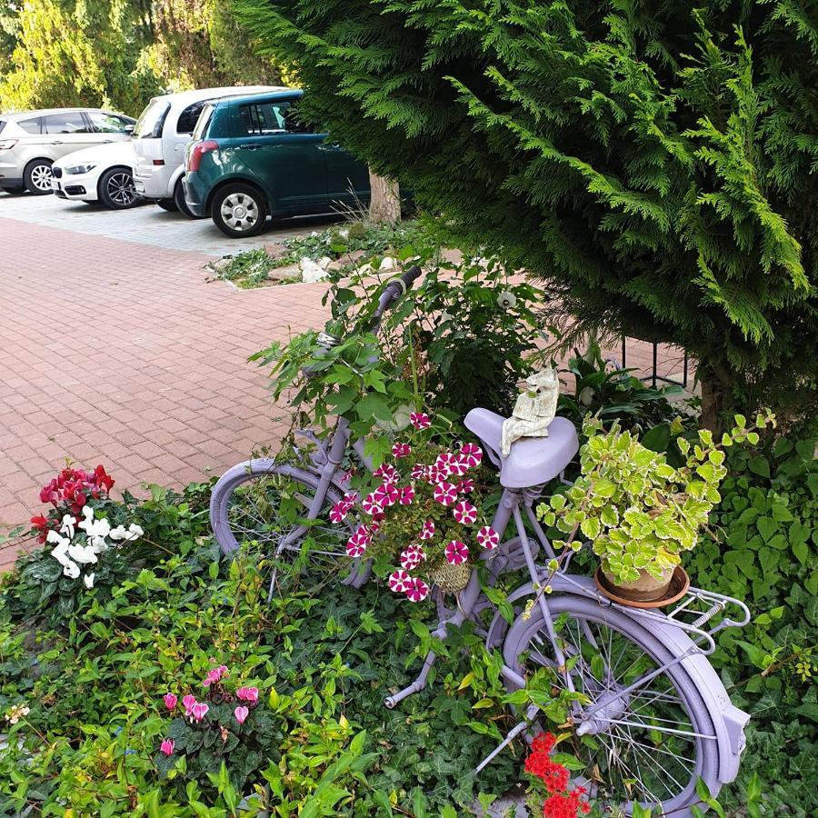 Alabastrom Panzio Es Etterem Bed & Breakfast Bogács Eksteriør bilde