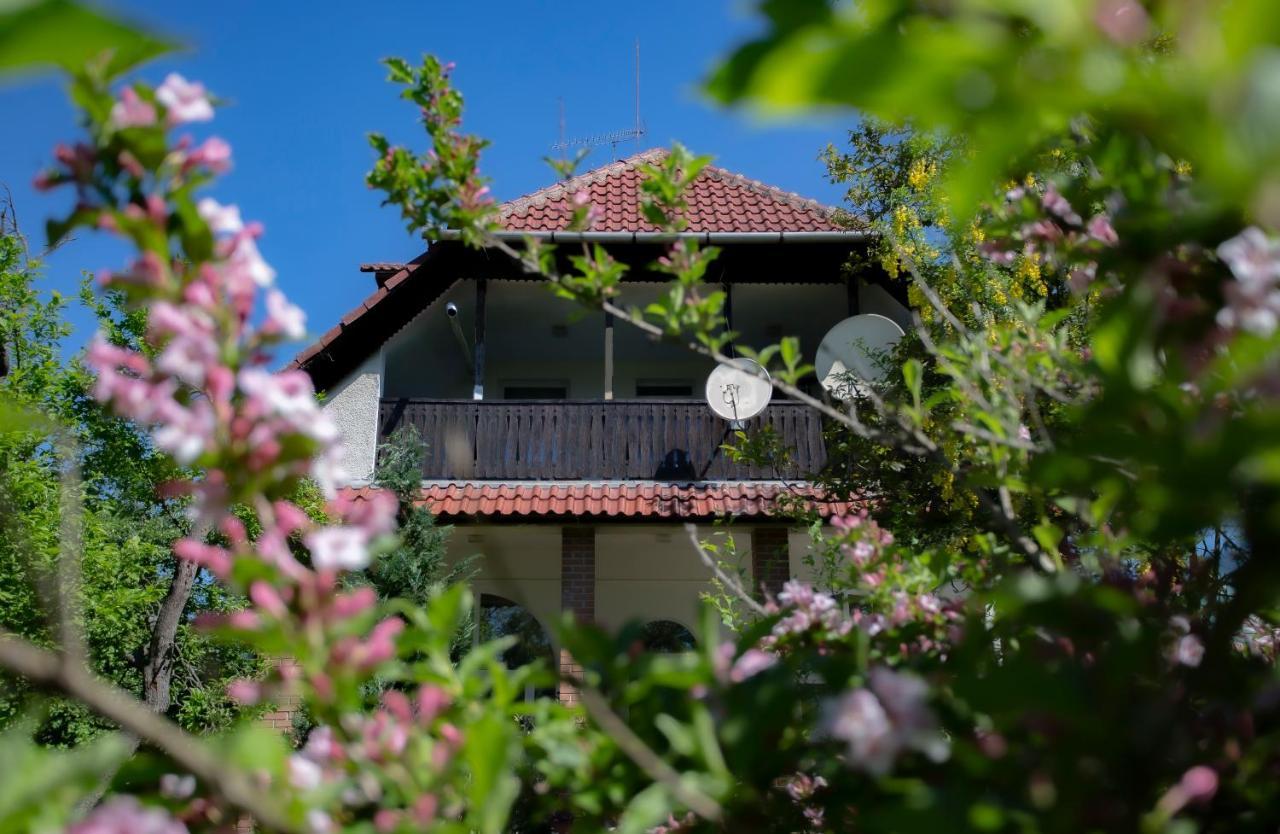 Alabastrom Panzio Es Etterem Bed & Breakfast Bogács Eksteriør bilde